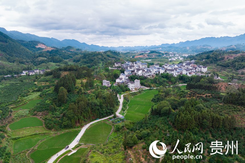 航拍荔波至王蒙至瑤山“共同富裕路”兩側的村莊和農田。人民網記者 涂敏攝
