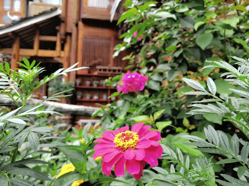 肇興侗寨和美鄉村一角。