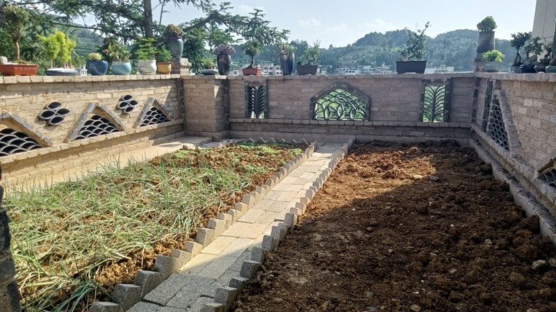 村民家的小菜園。姜繼恒攝