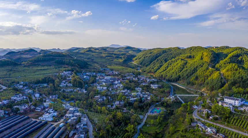 2023年6月15日拍攝的海雀村新貌。