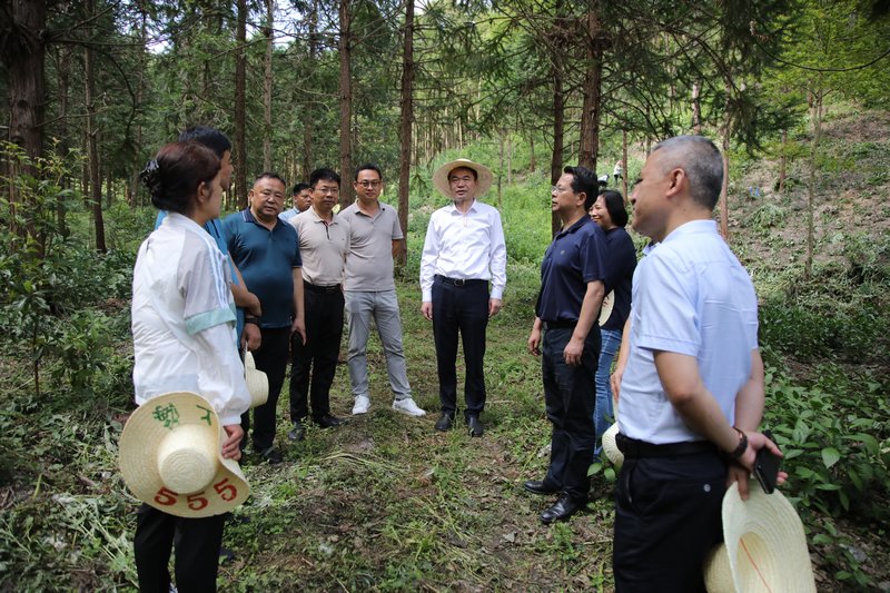 荔波國儲林基地.jpg