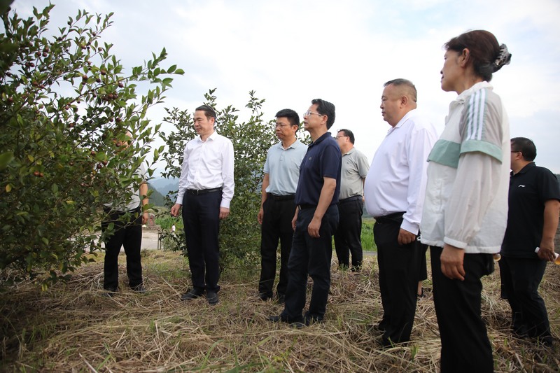 荔波油茶基地.jpg