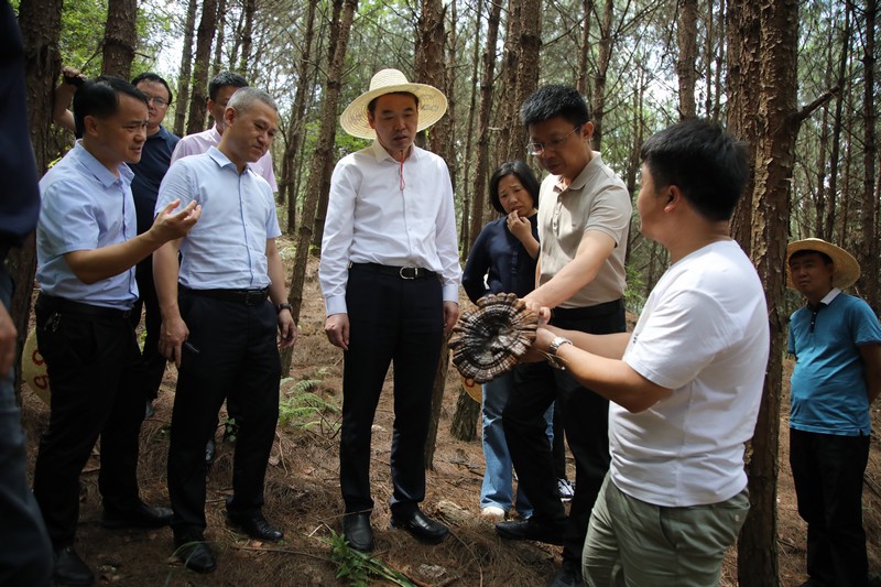 林下經濟基地.jpg