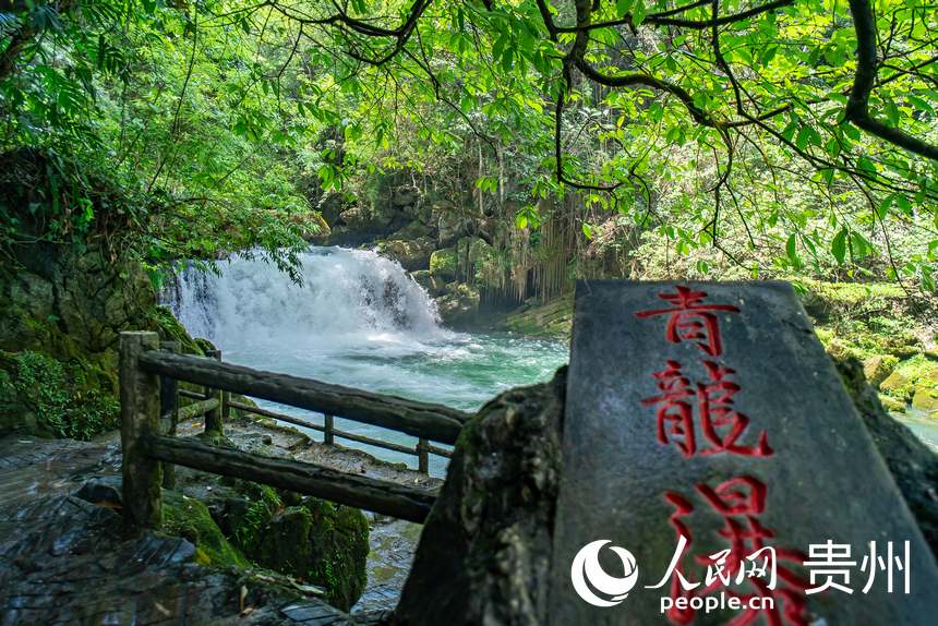 貴州茂蘭國家級自然保護(hù)區(qū)內(nèi)的瀑布。人民網(wǎng) 涂敏攝