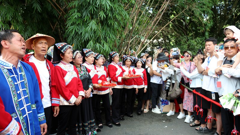 大木村銀杏廣場，布依族男女身著盛裝，手捧甘甜的米酒  查姜維 攝