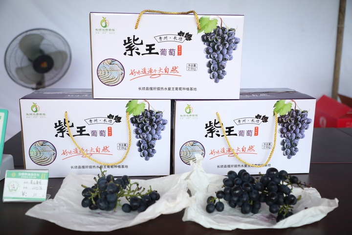 紫王葡萄產品展示。