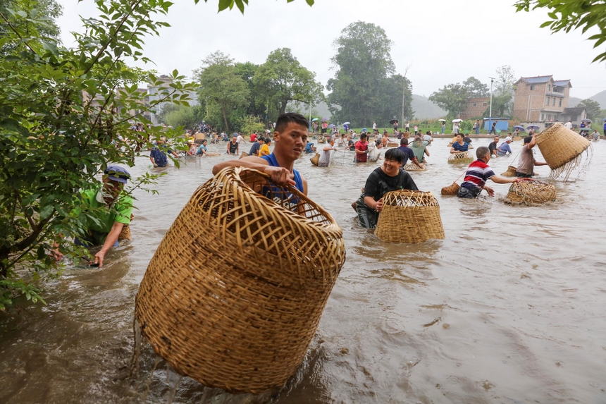 8月24日，苗族群眾在貴州省黔東南苗族侗族自治州施秉縣楊柳塘鎮(zhèn)高塘村“吃新節(jié)”上捕魚。