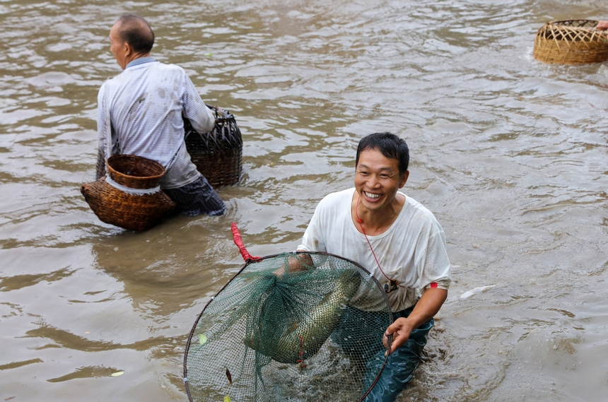 8月24日，苗族群眾在貴州省黔東南苗族侗族自治州施秉縣楊柳塘鎮高塘村“吃新節”上捕魚。 