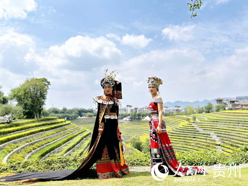 “城中花海梯田”，吸引了眾多游客前來觀賞打卡。人民網(wǎng) 敖嘉鈺攝 