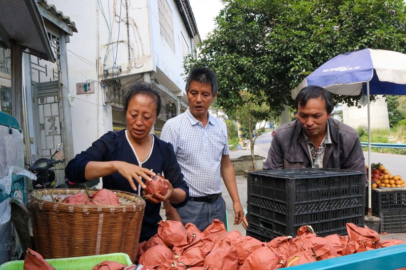 剛采摘下來的梨子,準備售賣。