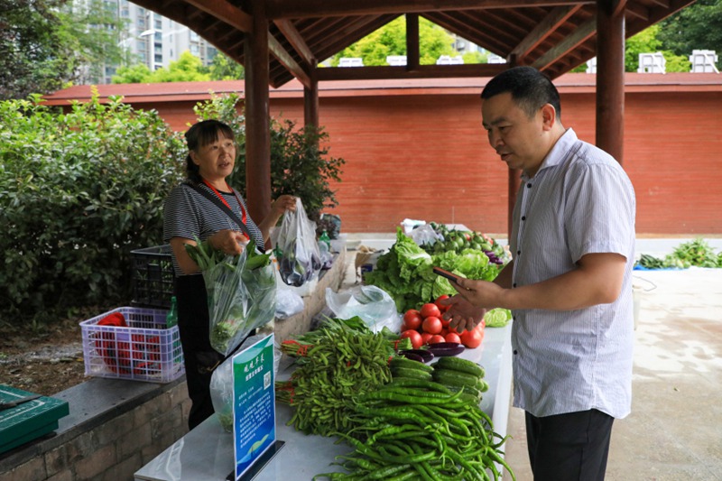 市民在“觀觀早菜”市場購買蔬菜。