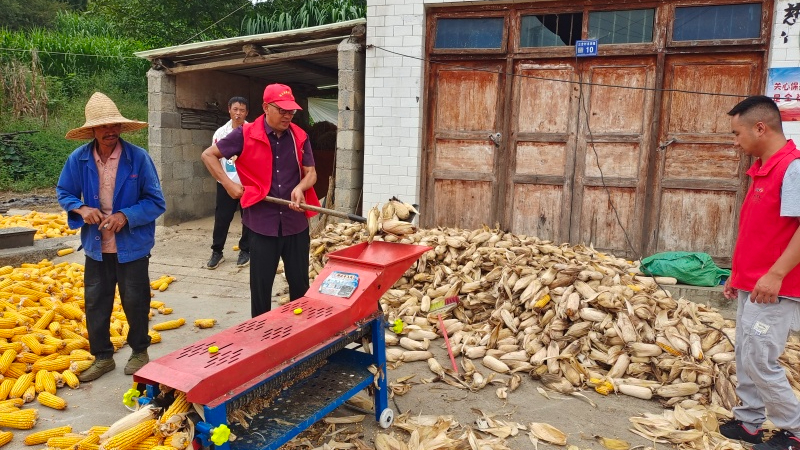 駐村干部經常正在給村民干農活。