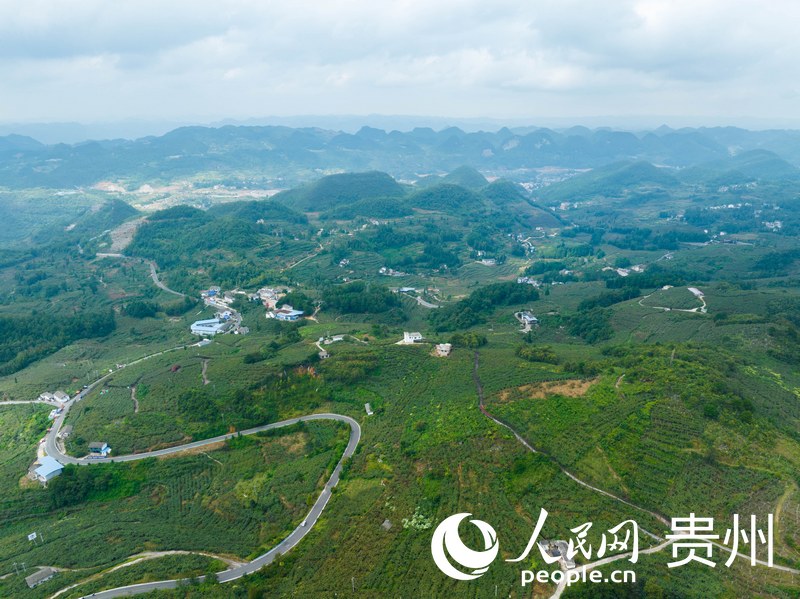 航拍修文平灘村。人民網 陽茜攝