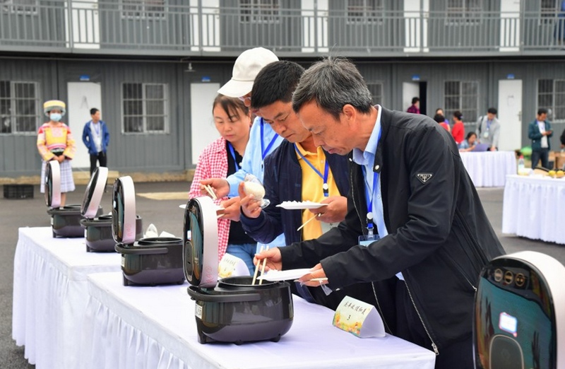 評鑒團現場進行稻米品鑒。