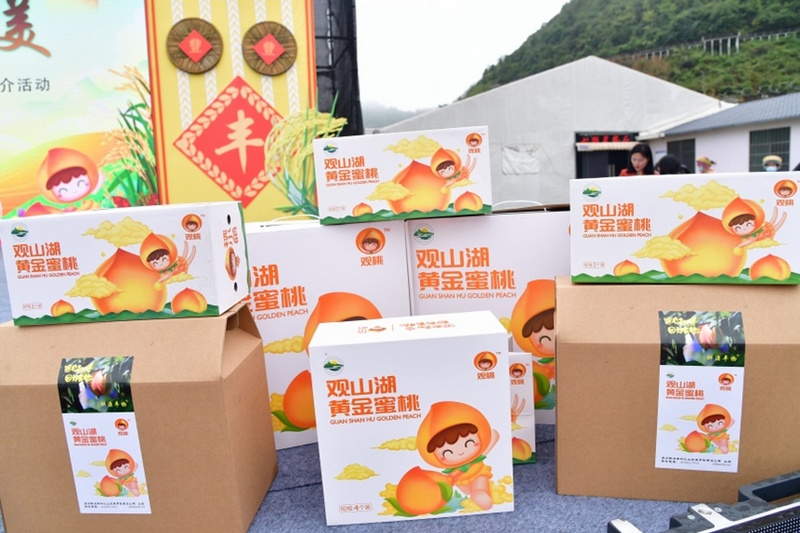  “觀桃”品牌推介。