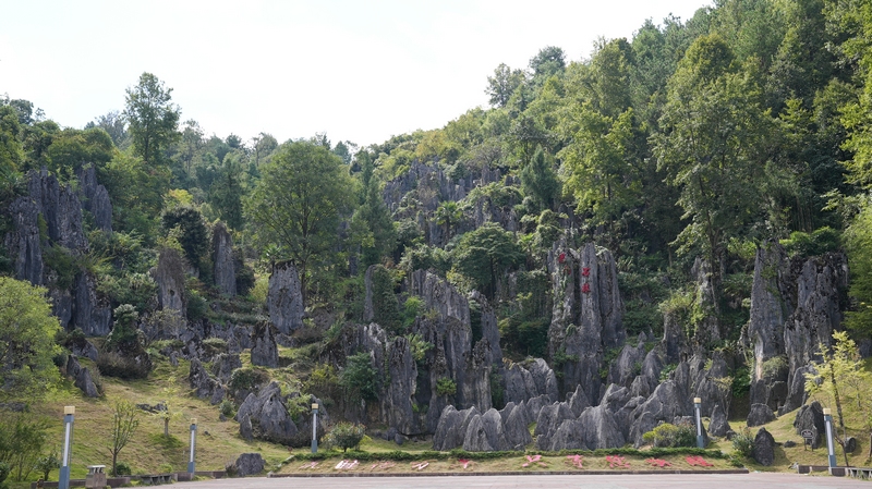 思南石林景區(qū)。