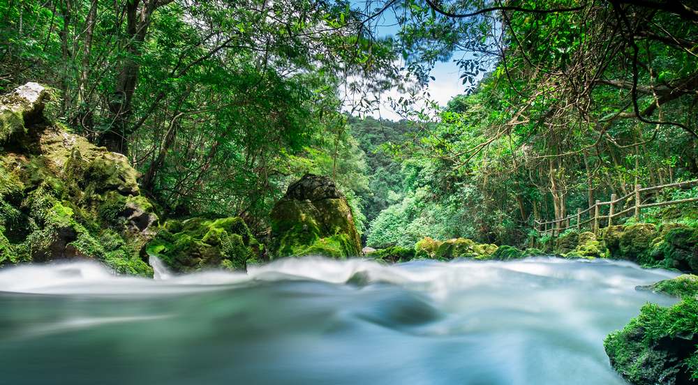 貴州茂蘭國家級自然保護區內的溪流。人民網記者 涂敏攝