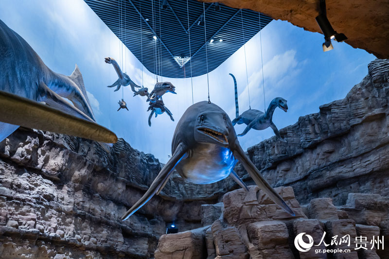 魚龍模型。人民網(wǎng) 陽茜攝