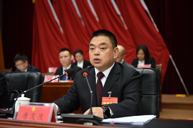 唐友波發言。