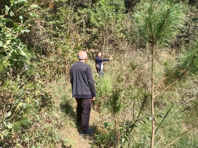 護林員上山開展巡邏巡查。