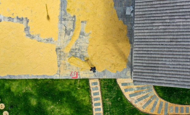 玉屏縣混寨村：奏響鄉村振興“交響樂”