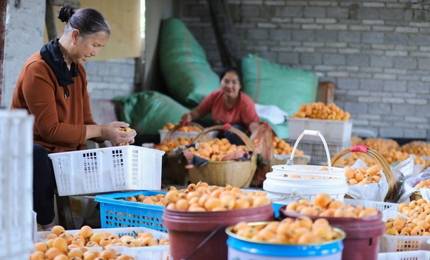 開陽縣：鄉村蝶變展新顏 百姓充滿幸福感