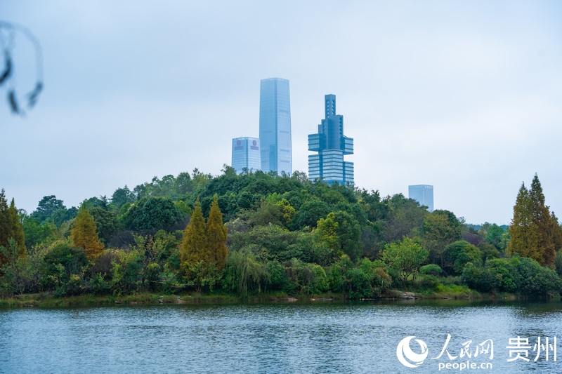 2.觀山湖區的山色湖光。人民網 陽茜攝.jpg