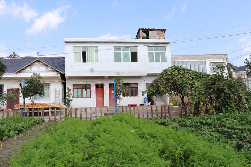 朱昌鎮宜居農房建設項目。