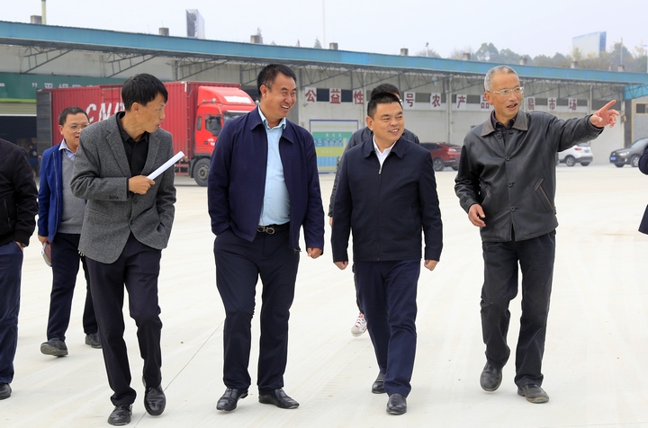 唐友波調研重點項目建設情況。