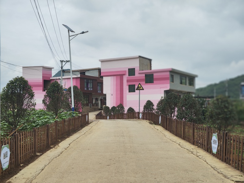 衛城鎮犀牛村新中組宜居農房建設示范點整潔的村道。田勇 攝.jpg