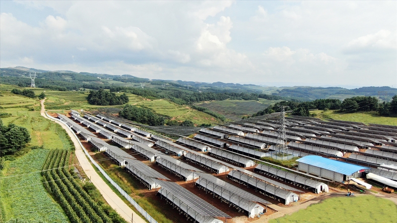 夏家坪子食用菌種植基地。劉大珩攝