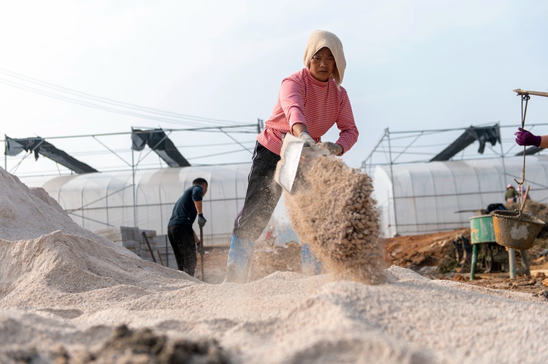 2024年1月16日，工人在貴州省從江縣貫洞鎮(zhèn)百香果育智慧苗大棚現(xiàn)場施工作業(yè)。