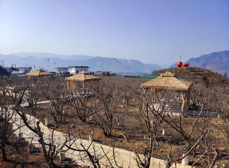 讓綠色發展成為群眾致富的強大動力10多年來，全國人大代表、納雍縣厙東關鄉陶營村黨總支書記肖軍不斷創新、敢闖敢干、先行先試，不斷帶領全村群眾探索櫻桃產業發展模式，踐行“綠水青山就是金山銀山”的綠色發展理念。如今，小小櫻桃已成為陶營村美麗鄉村建設、產業發展及群眾增收致富的強大動力。