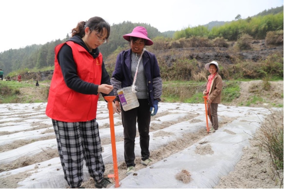 行固本之舉,當好鄉村振興“勤務員”。