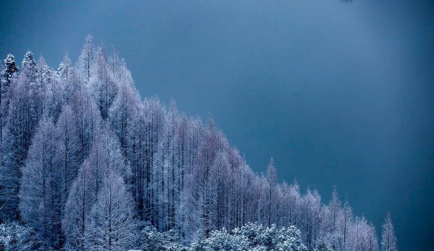 雪后的六盤水鐘鳳池園一角。趙樺攝