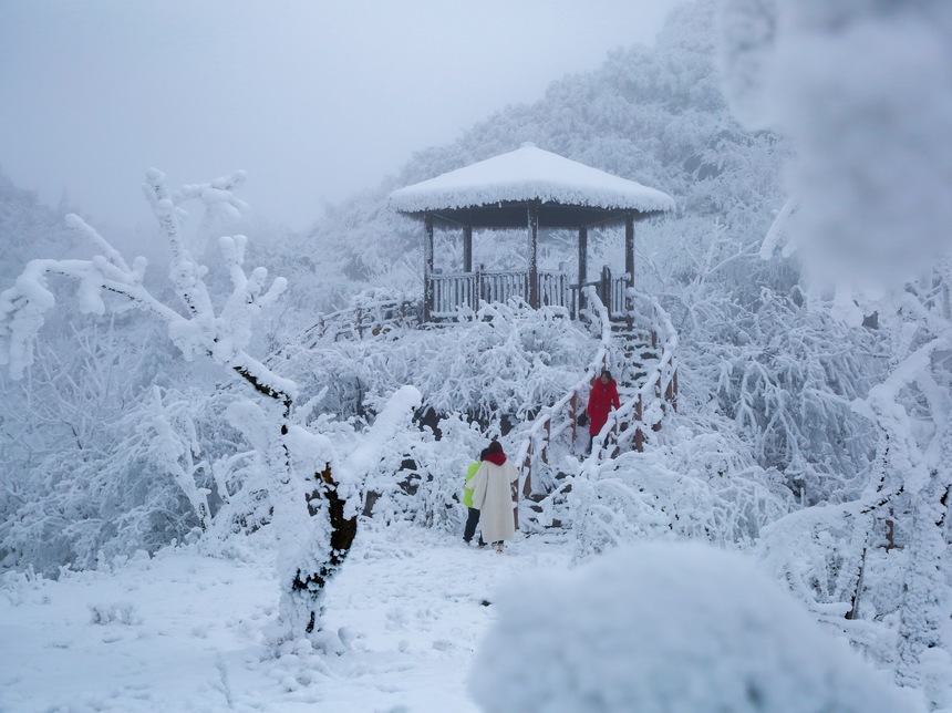 游客在六盤水市梅花山旅游景區拍照打卡。趙樺攝