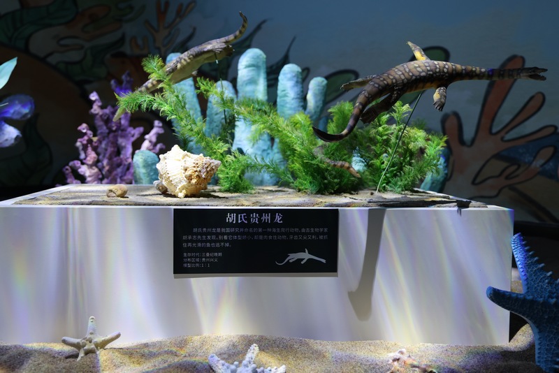 展覽一隅。沈純練攝