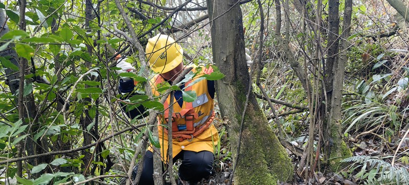 隊員撥開樹藤向山上走去。周朝中攝