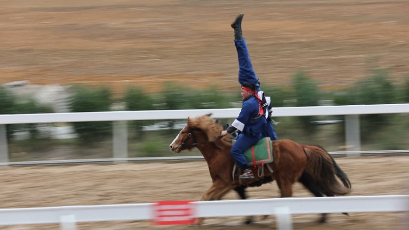 馬術表演飛馬倒立。