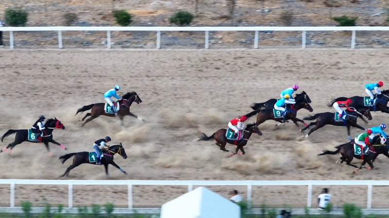 騎手們在賽道上疾馳。