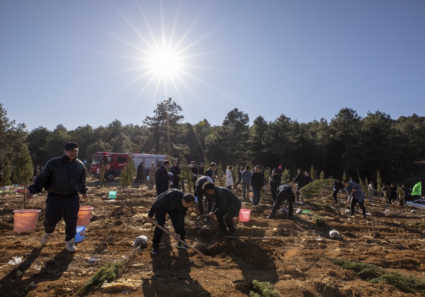 植樹現場。李學友攝