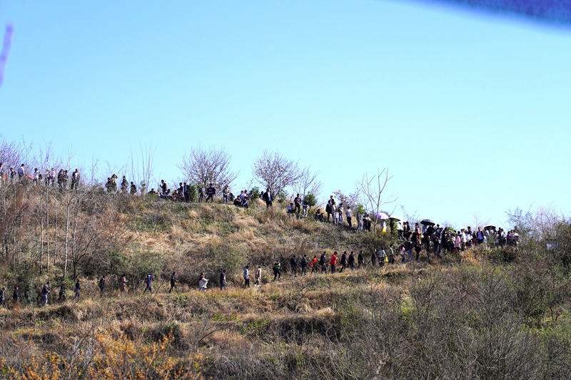 2月18日,納雍縣玉龍壩鎮水淹壩村跳花坡跳花節現場。江嬋攝