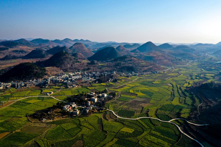 貴州省黔西市錦星鎮木渣黑社區油菜花田風光。