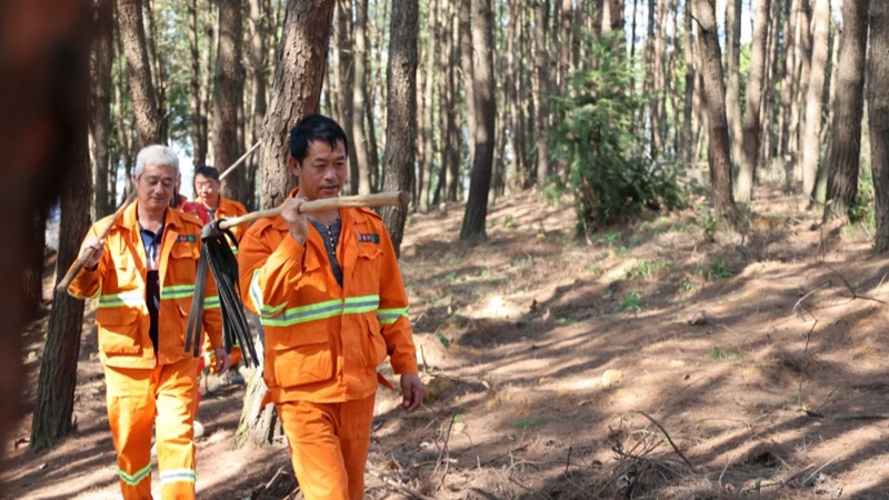 陽明洞街道辦森林防火應急隊半專業隊伍穿梭在林中巡查。李云攝