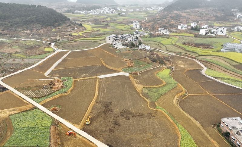 民樂村2300畝高標準農田航拍圖。代勝強 攝.jpg