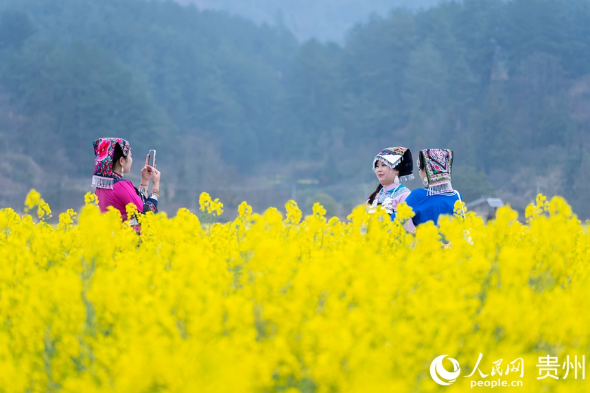 游客在油菜花中打卡拍照。人民網(wǎng)記者 涂敏攝
