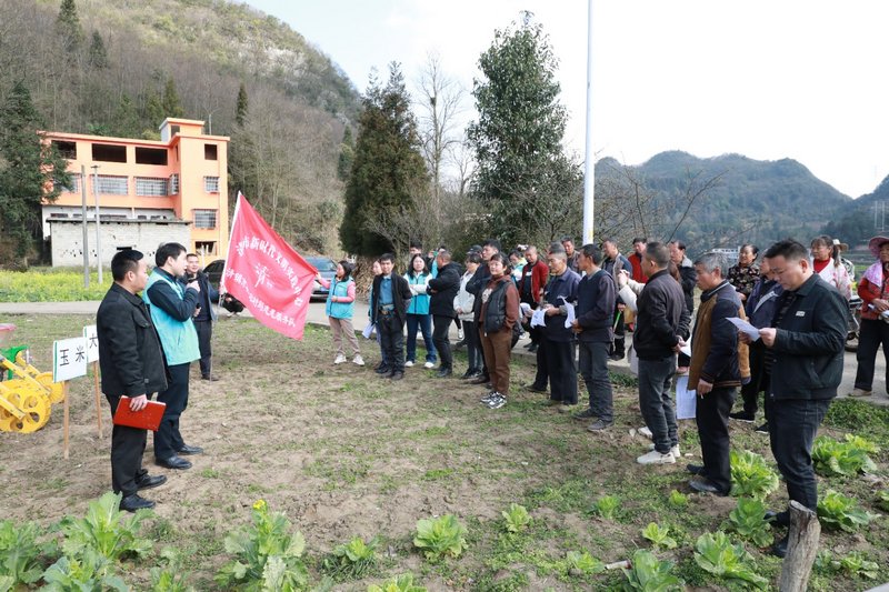 清鎮市春耕生產暨大豆玉米帶狀復合種植培訓會現場。任芳靚 攝.jpg