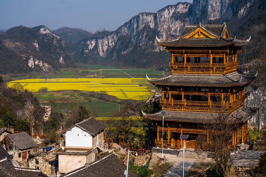 萬畝油菜花映得村寨里外春光無限。羅大富攝