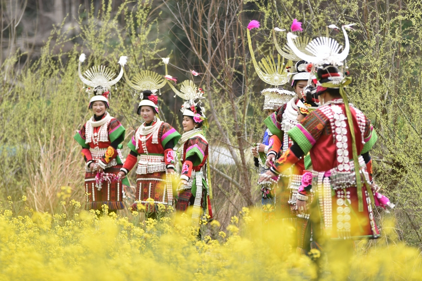 3月10日，游客在油菜花叢中游玩。凱尚宇攝
