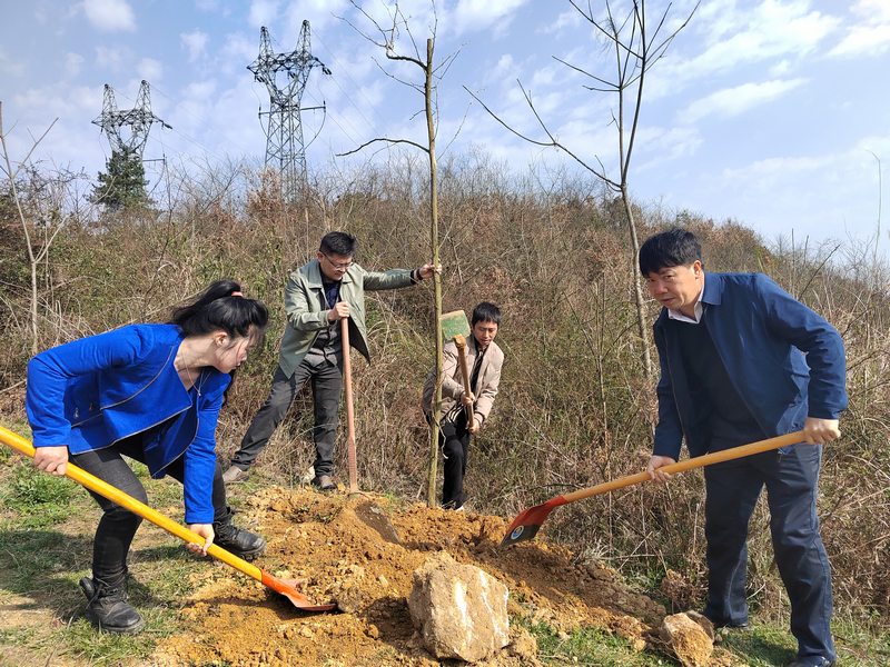 圖為：高寨鄉黨員干部開展義務植樹活動 (3).jpg